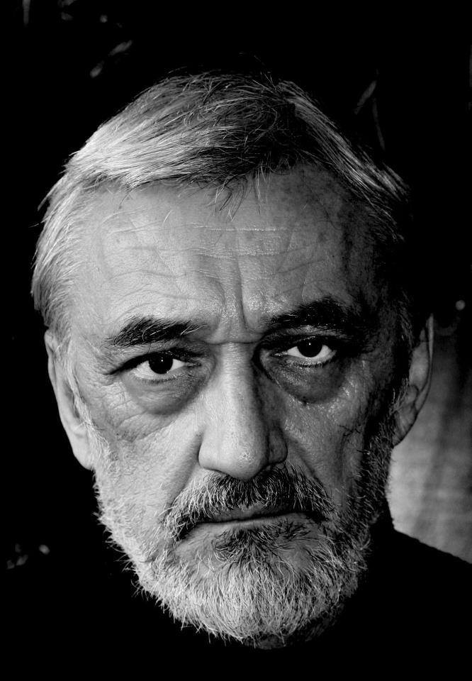 dragan nesic profilna